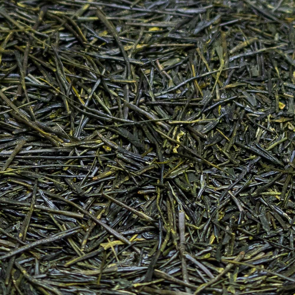 Japanese Sofu Sencha - Image 4